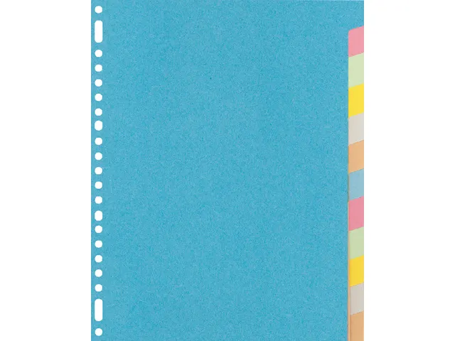 Tabbladen Kangaro A4 23-gaats RY412M 12-delig assorti karton