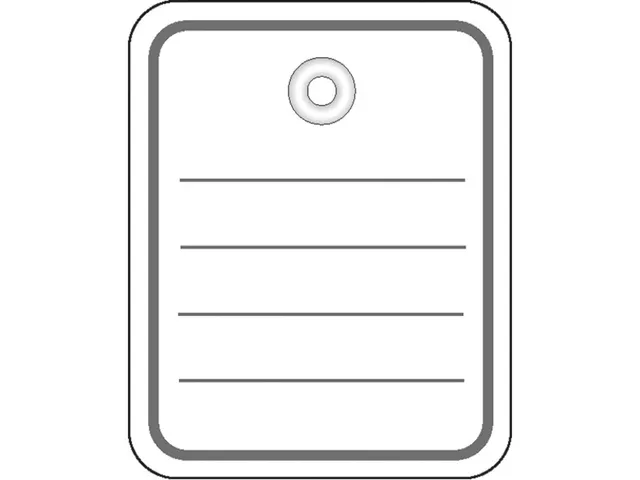 Herma 6842 Productlabel 48x65mm met plastic oogje/draad/splitpen Wit