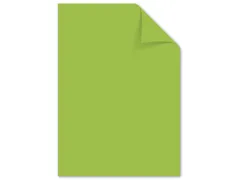 Papier Kangaro A4 80grs helgroen pak 100 vel