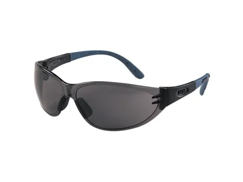 MSA Perspecta 9000 veiligheidsbril