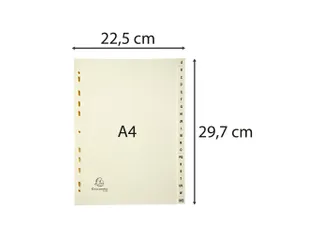 Tabbladen karton 155 g 20 tabs A-Z ivoor - 1