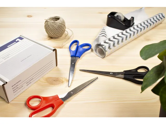 Kantoorschaar Westcott 210mm rvs assorti 3 stuks