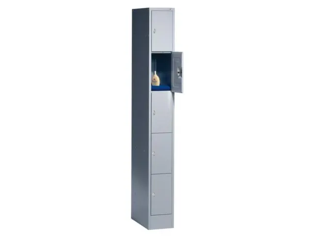 lockerkast,HxBxD 1950x240x480mm,1x5vakken,romp RAL7035,front RAL7035