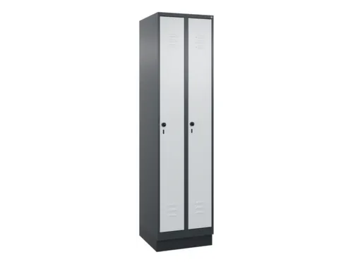 locker,HxBxD 1950x500x500mm,2vak,vak B 250mm,draaigrendel,sokkel