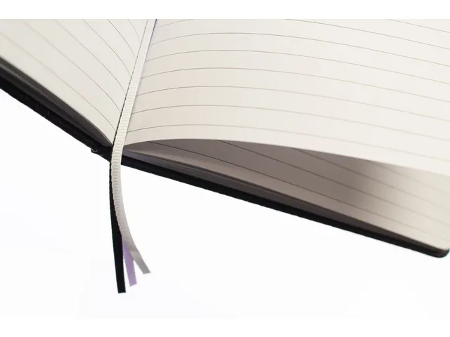 Carnet de notes Pure Croco A5 ligné 2 pces 80gramme 160pages noir et