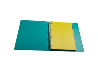 Tabbladen PP FOREVER YOUNG A4 12 tabs - 2