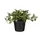 Kunstplant Mica Tradescantia in pot groen 16x16cm