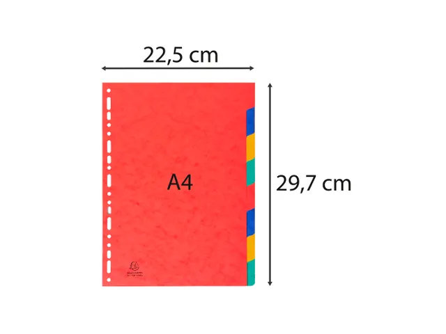 Tabbladen glanskarton 225g 8-delig A4 Assorti