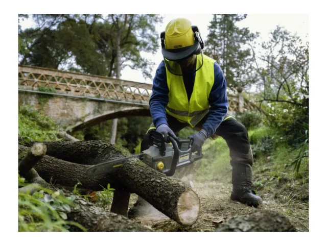 Kärcher Accu Power+ 36/60snellader