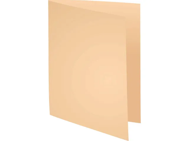 Pak van 100 dossiermappen FOREVER 250 100% Gerecycleerd Assorti