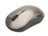 Digitus Souris