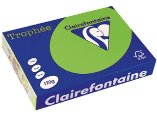 Trophée Intens Gekleurd Papier A4 120 gram 250vel Grasgroen - 2