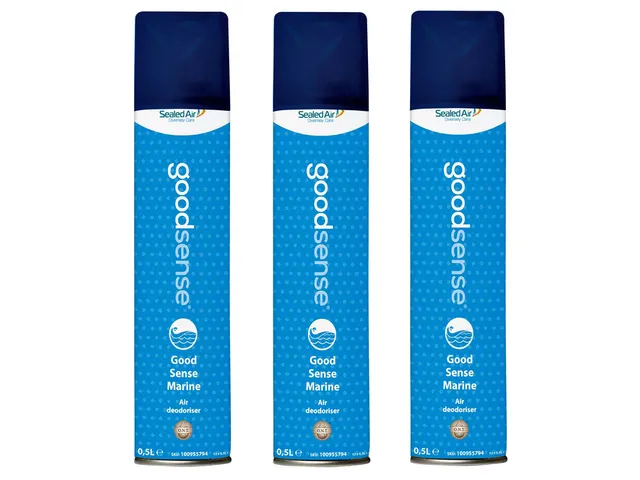 Désodorisant Aérosol Good Sense 500ml