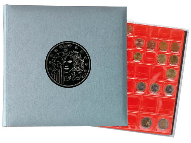 Album numimastique Exacompta 24,5x25cm 5 feuilles 43 cases 4 anneaux g