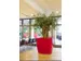 jardinière,trapézoïdal,PE,rouge rubis,HxlxP 900x1000x1000mm