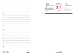 Omlegblok 2027 Brepols 1dag/2pagina's universele ponsing - 3