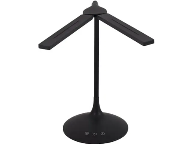 Led Desk Lamp Portable Twin Duo Led zwart