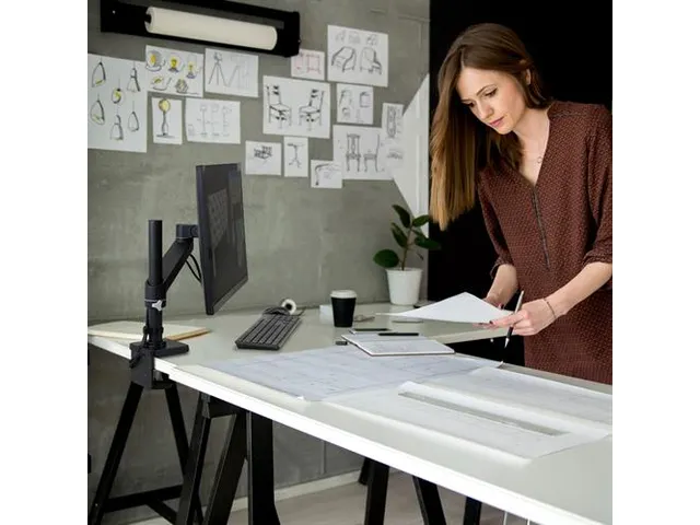 Ergotron Nx Monitor Arm Zwart 1 Scherm