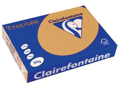 Trophée Pastel gekleurd papier A4 80 gram 500vel Caramel bruin