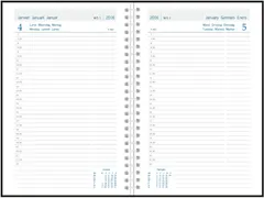 Daily 32W PP 500 micron color assorti 2026