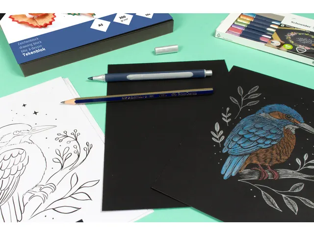 Workshoppakket IJsvogel Schneider inclusief toebehoren NL