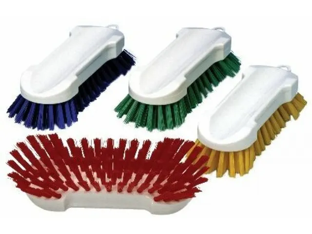 Werkborstel hard blauw 2st. In pak