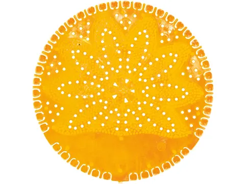 VividAir urinoirmat Summer Fruits oranje 12 stuks