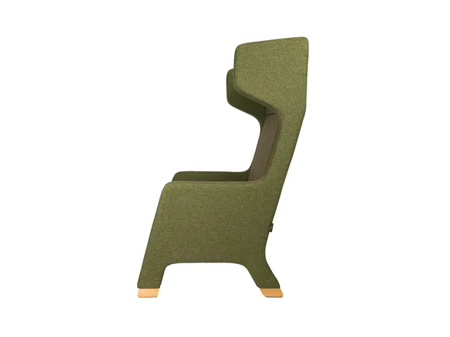 Fauteuil de luxe Auris Vert mousse