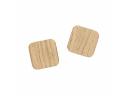 Magneten Naga 25x25mm vierkanteik set a 2st. super sterk