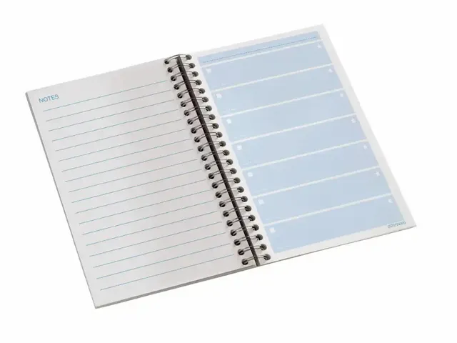 Little Things to do Djois Atlanta recycled 145x110mm 100 vel blauw