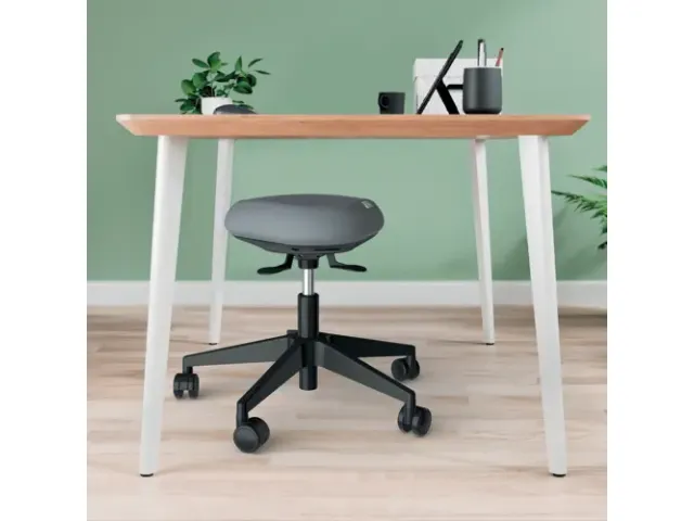 Zitkruk Leitz Ergo met wieltjes en wiebelkussen 600x470x600mm zwart