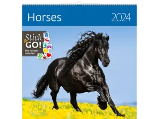 Kalender 2027 Helma 365 30x30cm paarden - 2