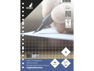 Ringbandinterieur Kangaro A5 ruit 10mm 17-gaats 60 grams 100 blad - 1