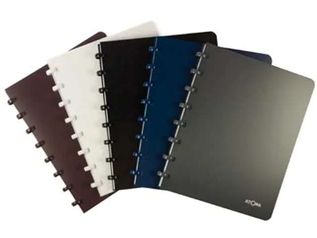 schriften ft A4, commercieel geruit Assorti