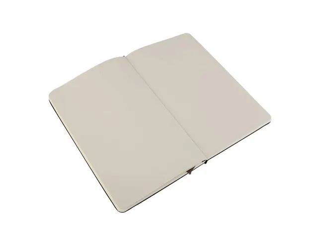 Notitieboek Moleskine large 130x210mm blanco hard cover zwart