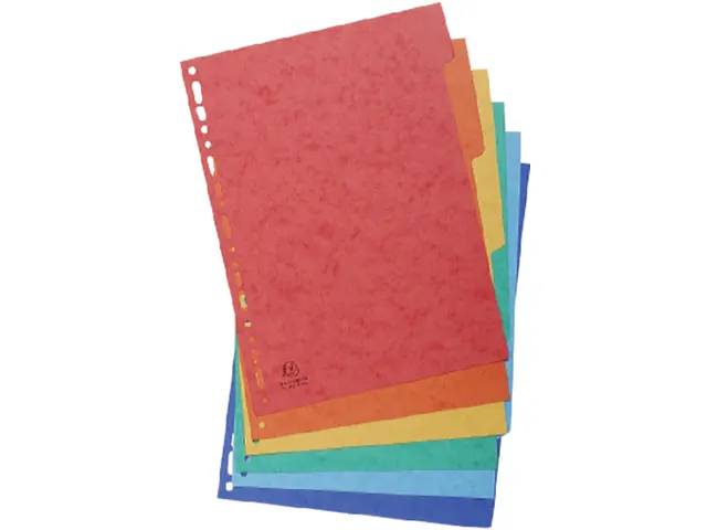 Tabbladen Exacompta A4 11-gaats 6-delig glanskarton Assorti