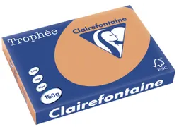 Trophée Pastel gekleurd papier A3 160 gram 250vel Caramel bruin