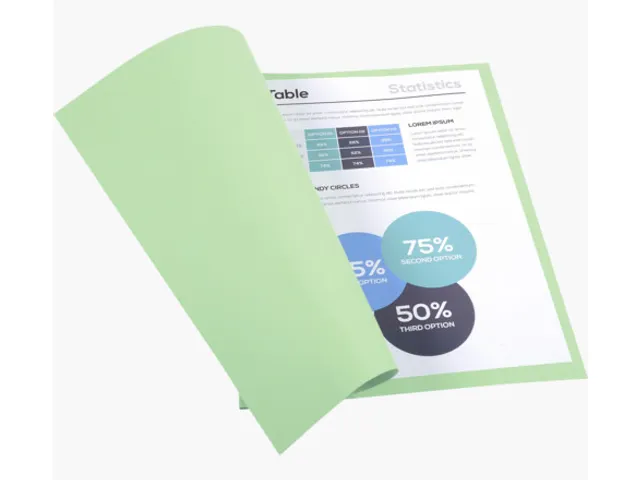 Vouwmap Exacompta Forever A4 170gr grasgroen