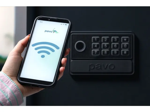 Sleutelkast Pavo High Security SMART 50 haken
