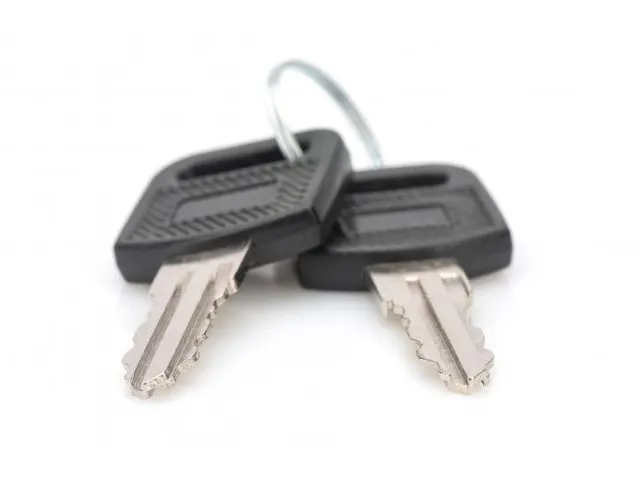 Sleutel Voor De SOHO En Unique Series 10'' En 19'' Wandbehuizingen 2st