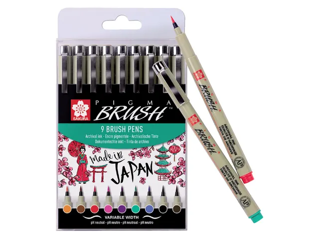 Viltstift met brushpen Bruynzeel Sakura Pigma etui 9 kleuren assorti