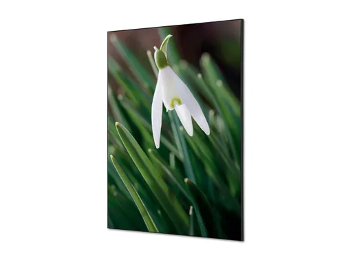 Wanddecoratie Textiel Set A1 Witte Bloem Sneeuwklokje
