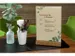 Papier avec motif Sigel Ecucalyptus A4 motif double-face papier herbe