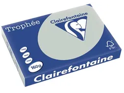 Trophée Pastel A3 160 gram 250 vel lichtgrijs