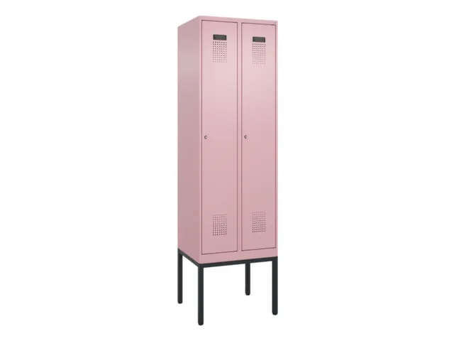 locker voor scheiding van kleding,HxBxD 2120x600x500mm,2vak