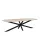OUTLET Vergadertafel Harper Deens Ovaal 200x100cm Naturel blad met Spi