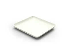 Sier Bagastro Bord Vierkant 160x160mm 12x 40 Stuks