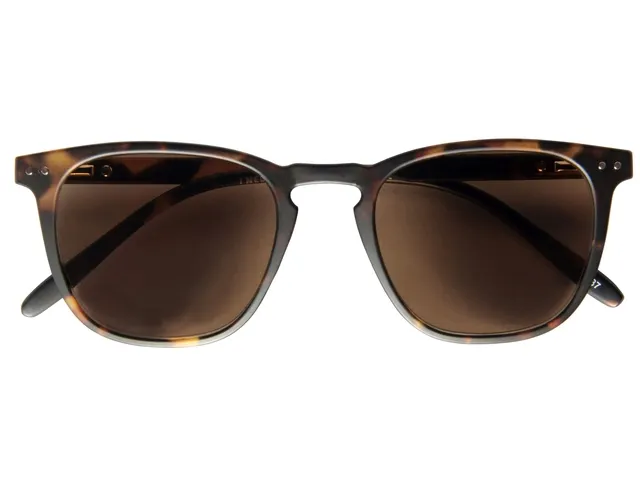 Zonnebril op sterkte I Need You +1.00dpt Playa havanna