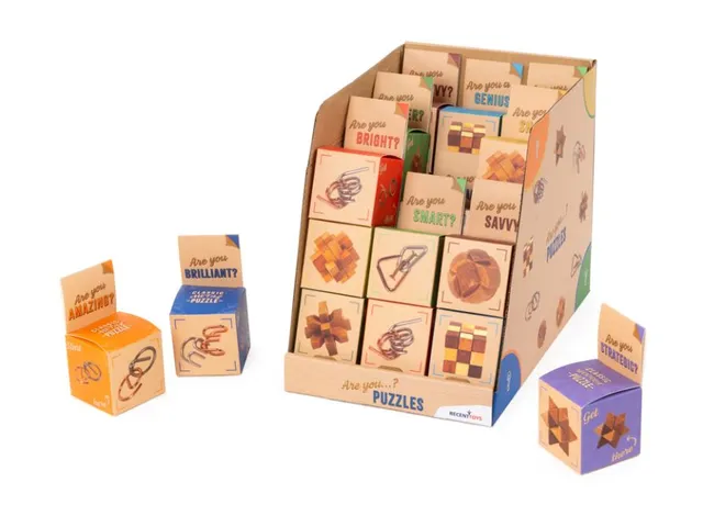 Présentoir Recent «Toys « Are You...? » Puzzles 27pcs 14+