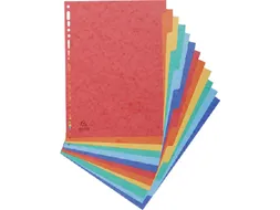 Tabbladen Exacompta A4 225x297mm 11-gaats 12-delig glanskarton
